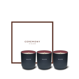 Wild Fig Scented Candle Trio Set